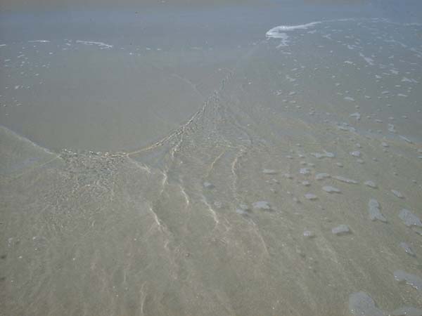 DSCF0024